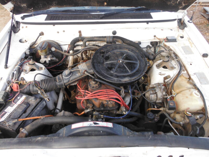 1988 XF Falcon ute (Lot 77)